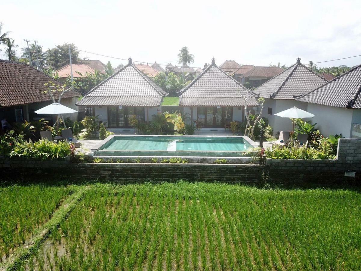 Paraiso Cottage Ubud Exterior foto